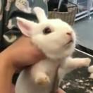 ShenyueYe的个人资料头像