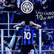 鹌鹑351的个人资料头像