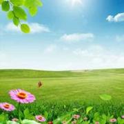 云下树的个人资料头像