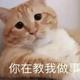 冒泡就走 · 缤瑞车主·车龄1年头像