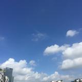 正直阳光9d头像