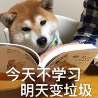 扎麻花辫儿的麻瓜头像