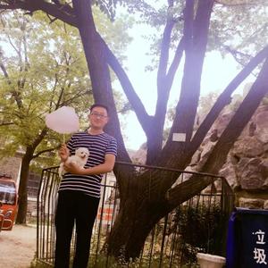 放肆的魏小甲头像