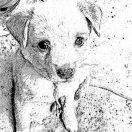 微笑的个人资料头像