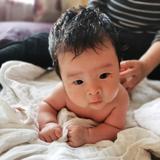 东东家的西西头像