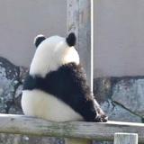 用户68361507头像