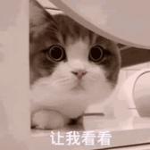 身体决定距离头像