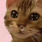 一块煤炭的个人资料头像