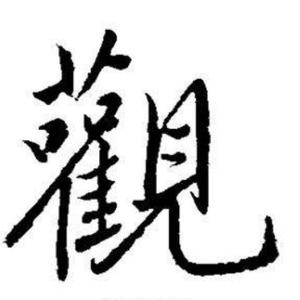 噗噗观世界头像