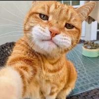 佛系丶少年丶头像