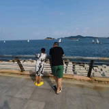 x泉头像