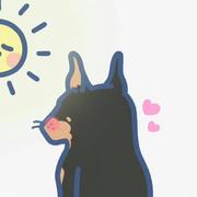 酷豹的猫儿的个人资料头像