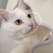 用户1865814242810的个人资料头像