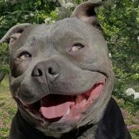 缤果plus五百续航头像