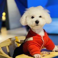 奋发有为生活家wNS头像