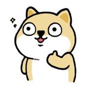 程序员小胖子的个人资料头像