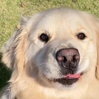 用户2409268880646头像