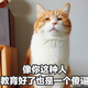 but219头像