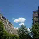 autumn秋天的个人资料头像