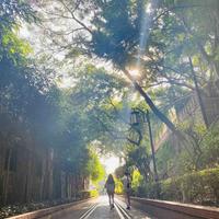 林语玖Luck丶头像