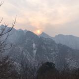 半杯冰冻雪梨头像