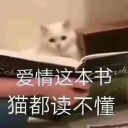 欣欣分享AI的个人资料头像