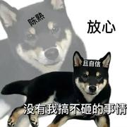 法外狂徒_谢尔比_张三的个人资料头像