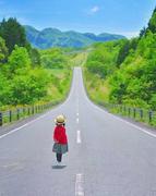 WDL的个人资料头像