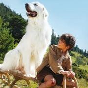 我不是超人的个人资料头像