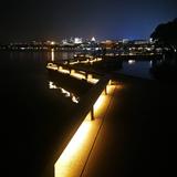 9陈539头像