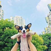 喜爹的个人资料头像