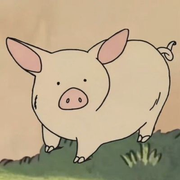 猫小黑的个人资料头像