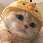 Anton555的个人资料头像