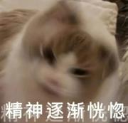 秀不了等死吧告辞的个人资料头像