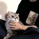 清闲的帆船GyL头像