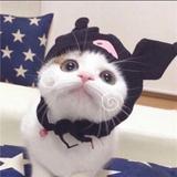 OHO!!头像