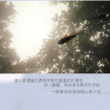 心晨雨头像