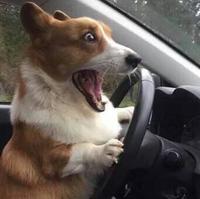 热心网友6799头像