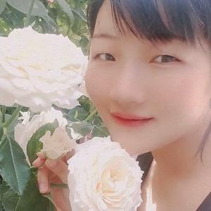 苹果音乐头像