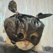 1214summer的个人资料头像