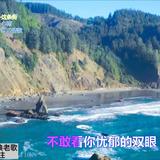 优雅漂流瓶31头像