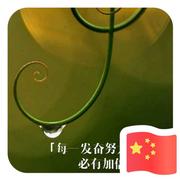 煮雨风雪的个人资料头像