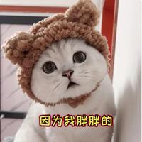 willian016头像