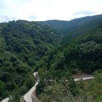 爱家书包0i8头像