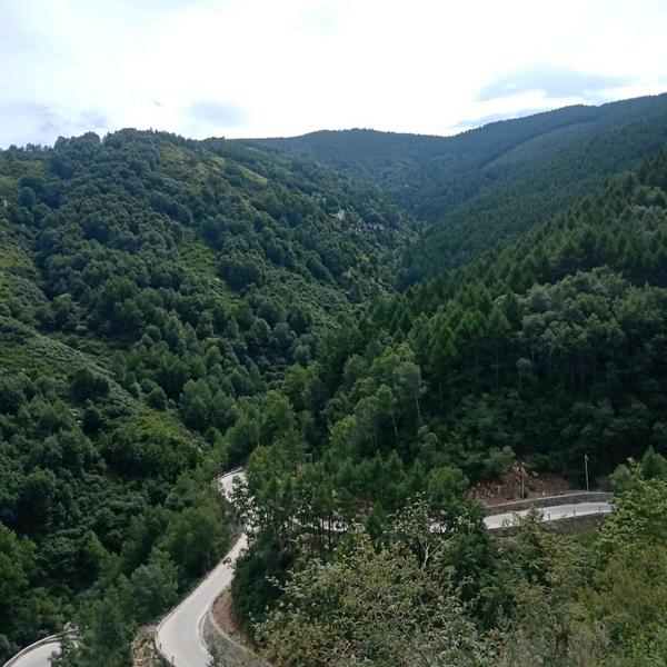 爱家书包0i8头像