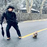 爱拍车的小林头像