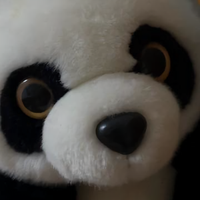 两个人和两个孩头像
