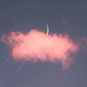 小枣影视解说头像