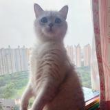 biuabel头像