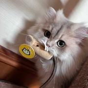 Nirvana449的个人资料头像